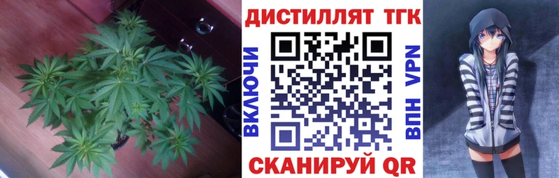 Дистиллят ТГК гашишное масло где можно купить наркотик Агрыз